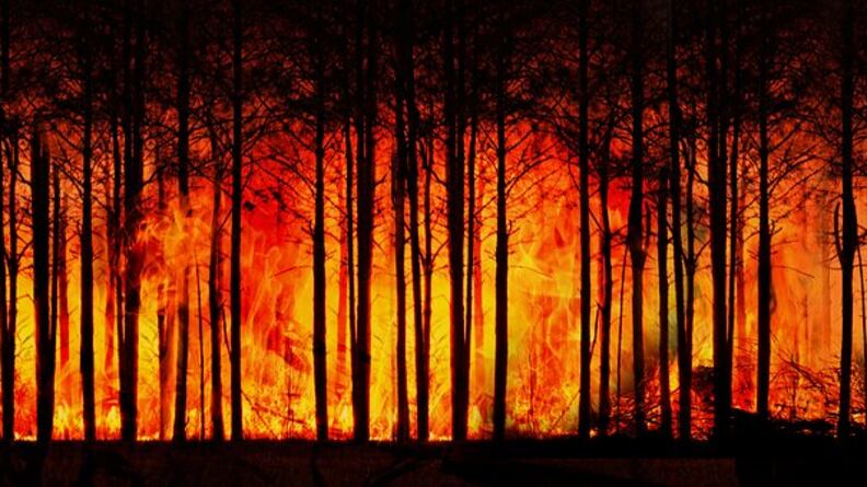 Sicilia, il Corpo forestale ferma le attività nei festivi Rischio incendi