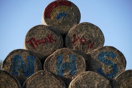 Il lavoro agricolo al tempo del coronavirus 2