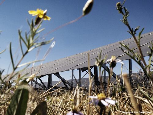 Dove il sole incontra l’agricoltura