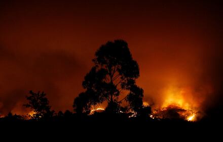 Incendio in Portogallo: 58 morti 17