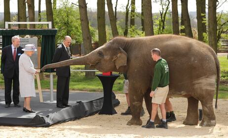 La Regina Elisabetta va allo zoo a vedere gli elefanti 10