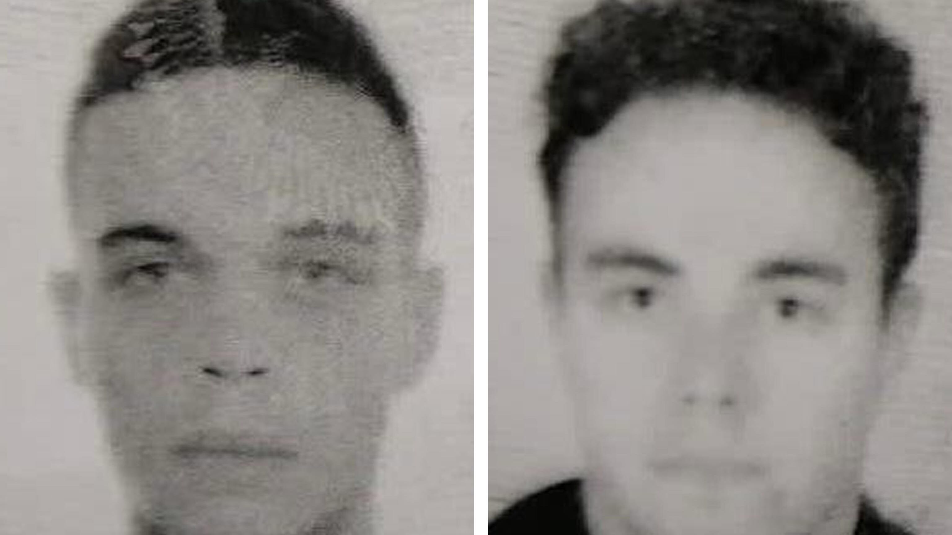 Patrizio spara al fratello poi si toglie la vita: una tragedia hikikomori