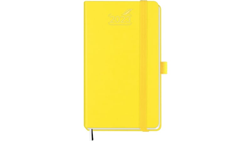 Agendina