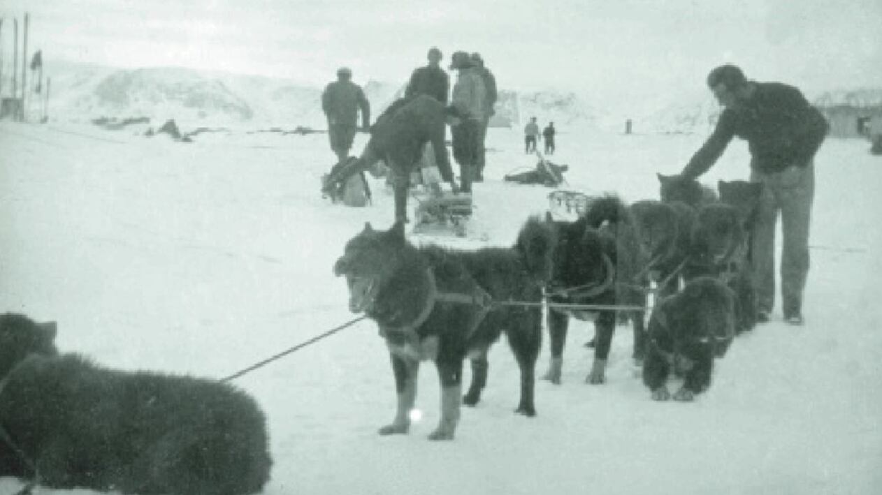L'alpino che sfidò il Polo per soccorrere Nobile: il viaggio per immagini