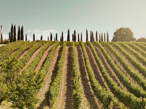 Il Brunello di Montalcino 2021 di Eredi Fuligni è il vino italiano dell’anno