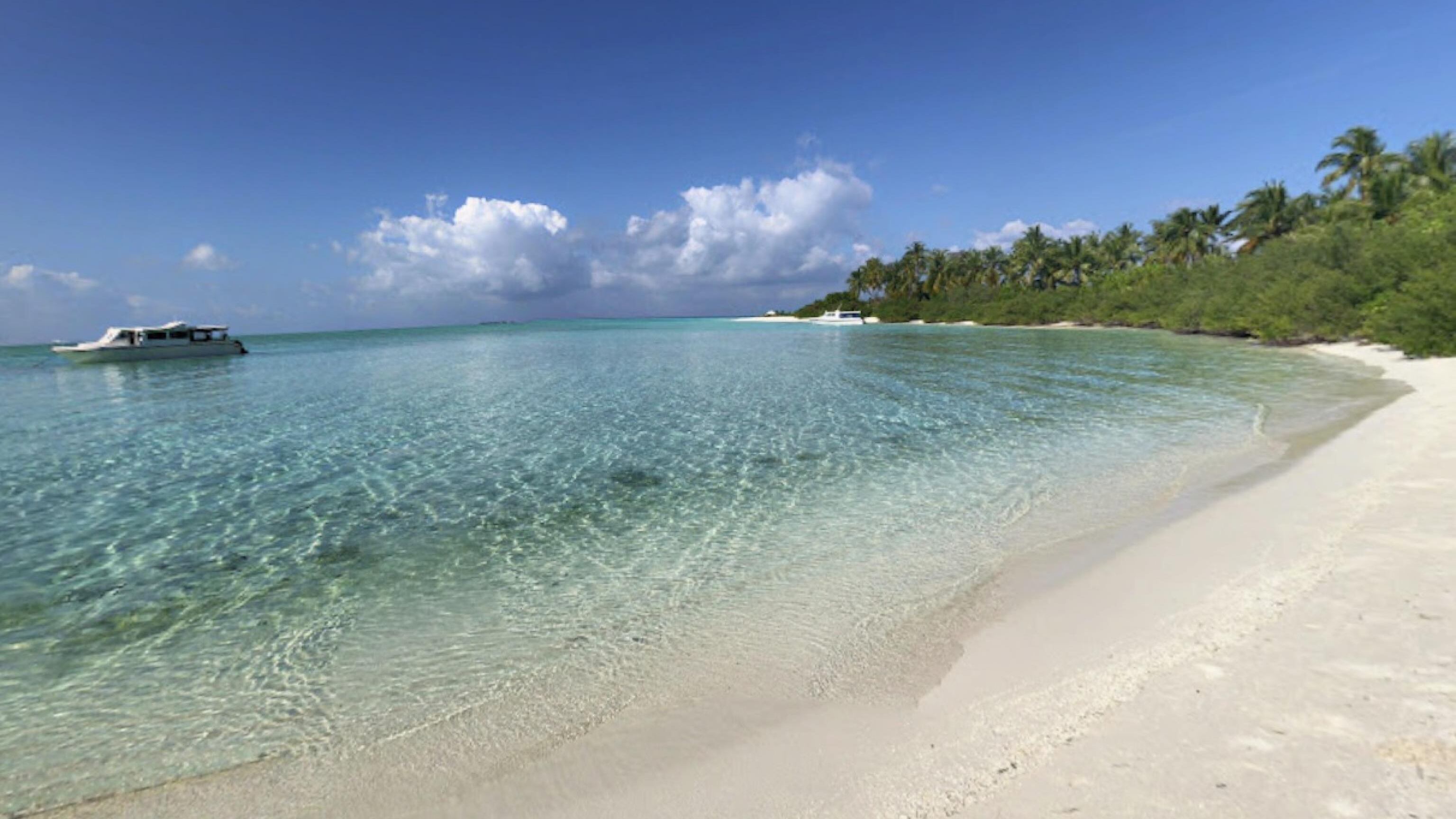 Maldive, tre esperti sub finlandesi tentano il recupero dei corpi: "In balia degli squali, non possiamo lasciarli lì"