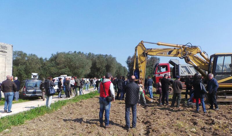 Xylella, ruspe negli uliveti di Oria. Gli ambientalisti tentano il blocco 6