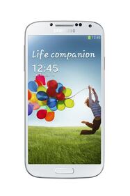 Il Samsung Galaxy S4 25