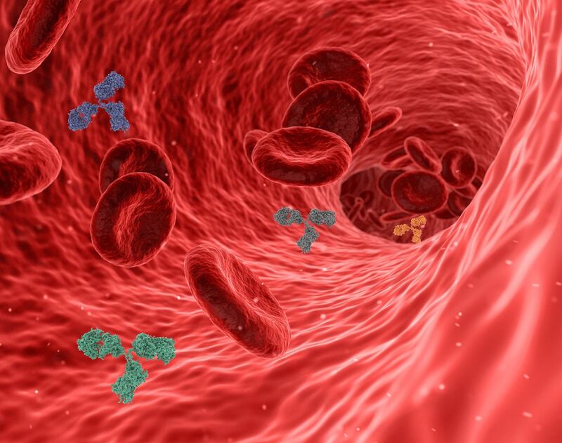 Benessere del cuore over: coronarie ostruite sintomi e cure