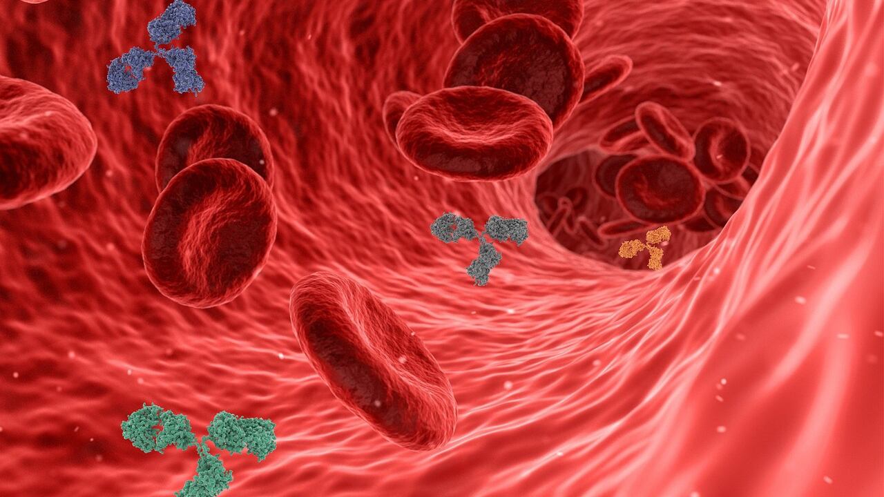 Benessere del cuore over: coronarie ostruite sintomi e cure