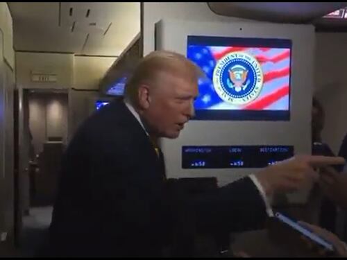 Fa una domanda sul caso Epstein e scatena l'ira di Trump: "Zitta, piggy"