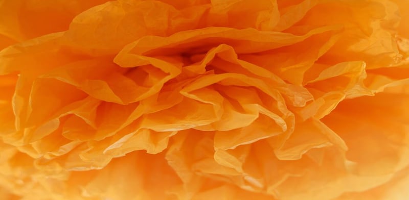 Carta velina