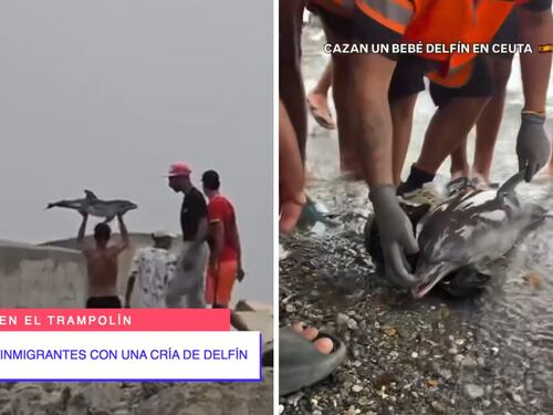 Aggressioni ai residenti, alle forze dell’ordine e agli animali selvatici: Ceuta sprofonda dopo un mese di invasione