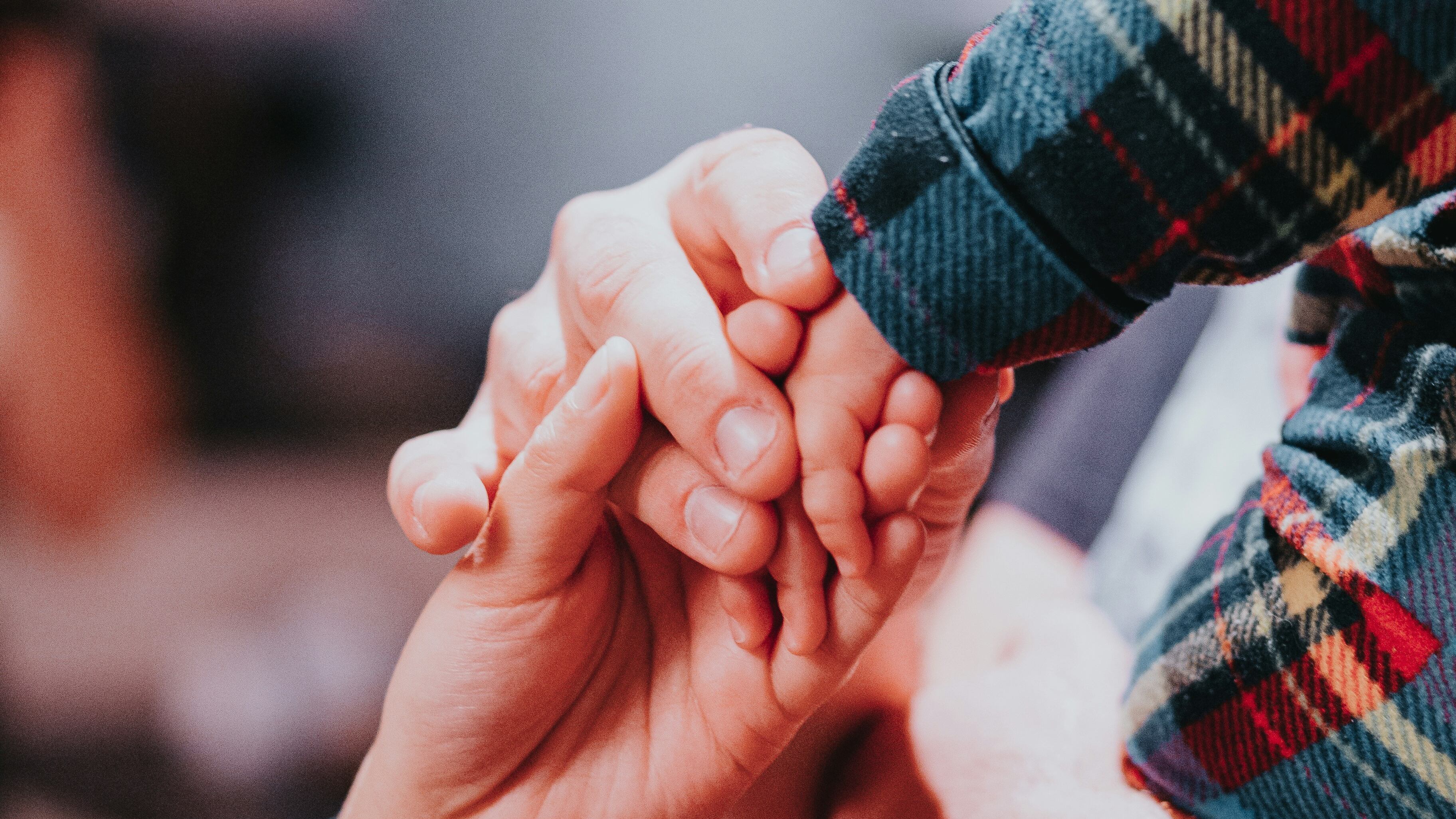 Quello "sforzo" quotidiano pieno d'amore per il loro futuro