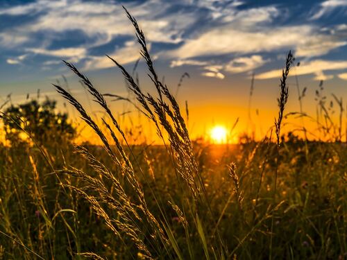 Tutti gli effetti benefici del solstizio d’estate