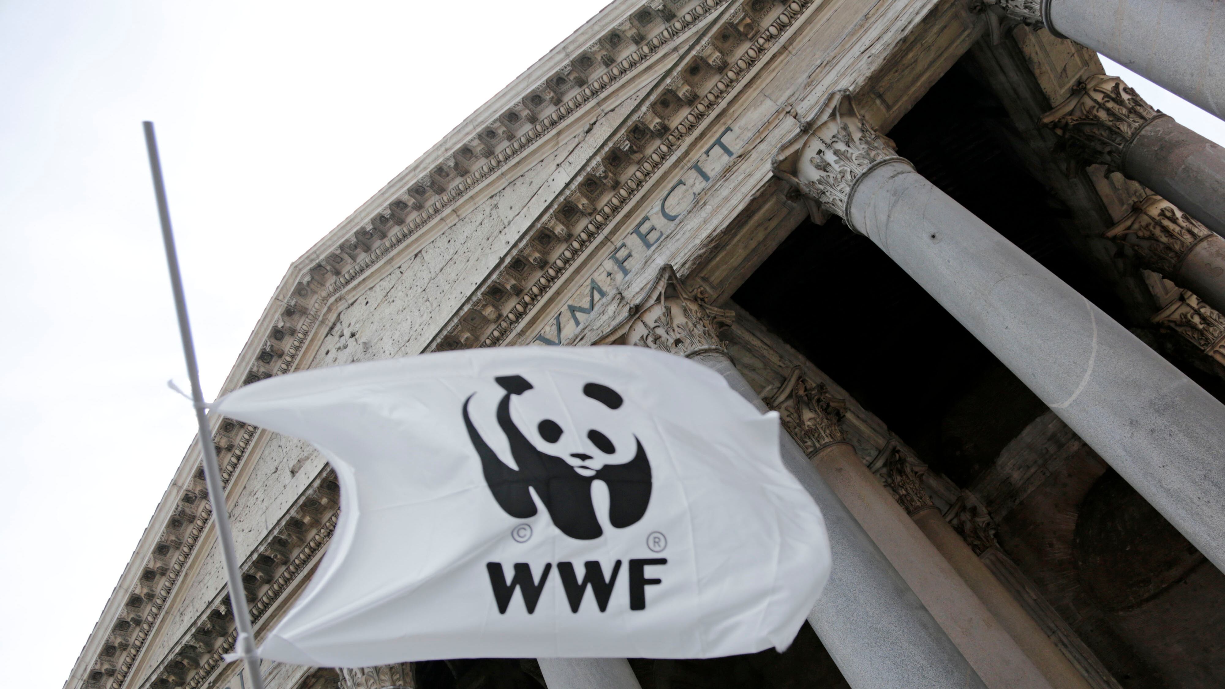 "Massacravano i nativi". E il Wwf finisce sotto accusa