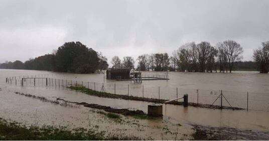 Il Ticino esonda ed allaga Pavia 5
