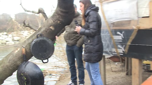 La fogna dei rom tra la tangenziale e il fiume Lambro 9