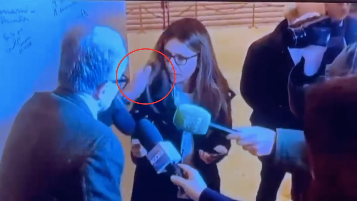 La manina della Schlein contro Prodi