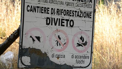 Sulle tracce dei piromani 1
