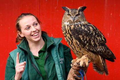 Allo zoo di Londra è il giorno del censimento 5