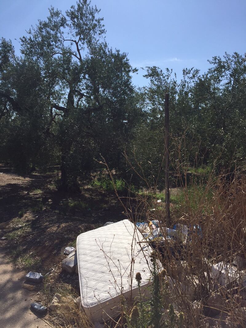 Bitonto e le campagne nel degrado 18