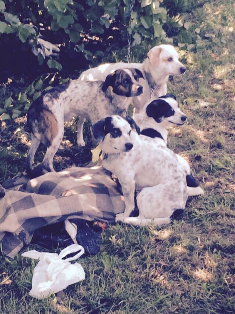 Il lager nel campo rom 4