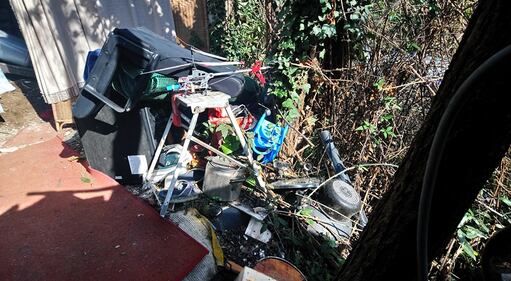 Roma, il degrado del parco naturale del Pineto 16