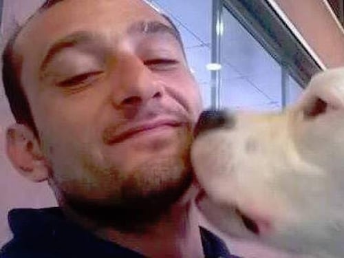 La Danimarca grazia il cane Iceberg: è salvo, può tornare in Italia