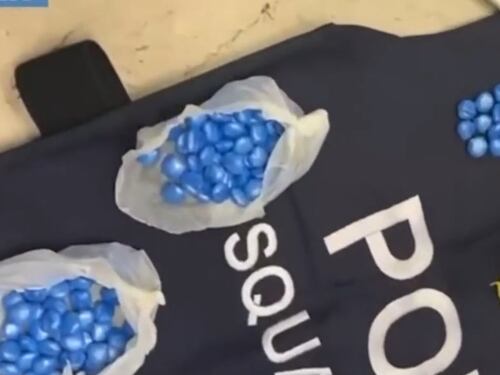 I pusher con lo stipendio da 2500 euro al mese: la rete della droga a Bologna