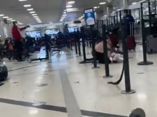 Spara accidentalmente all'aeroporto di Atlanta: ricercato dall'FBI