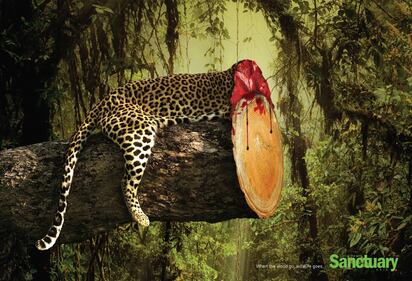 La campagna choc per salvare animali e ambiente 3