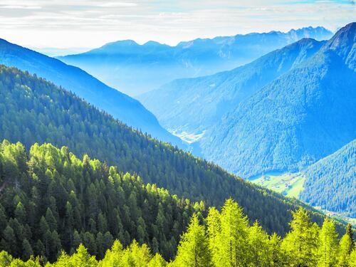 Ghiacciai maestosi, esemplari unici e trenta vette a 3000 metri di quota