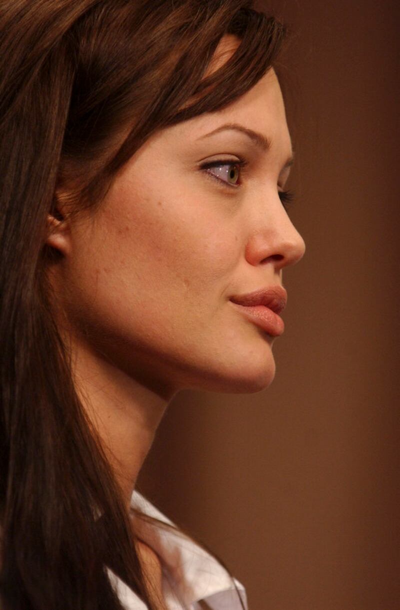 Angelina Jolie, le foto della sexy attrice 19
