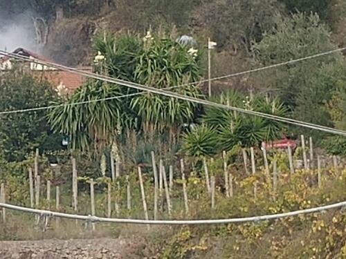Muore carbonizzato nell'incendio della propria casa nell'Imperiese