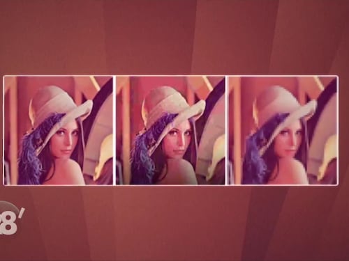 "Viola il codice etico". Vietato l'uso della foto della coniglietta di Playboy