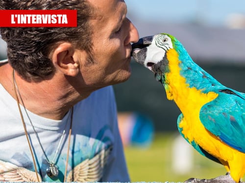 Enzo Salvi: "Quei sassi contro il pappagallo. Voleva pure rubare il cellulare"
