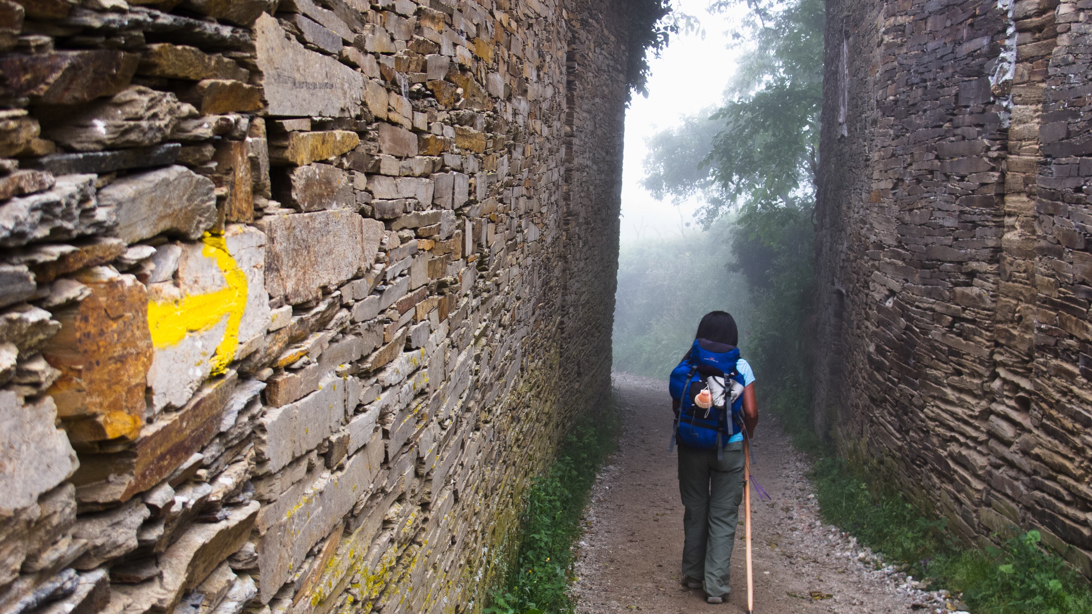 Cammini di guerra nel nome di San Francesco