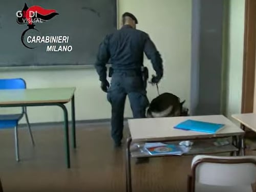Controlli a sorpresa in due scuole. Gli studenti lanciano la droga dalle finestre