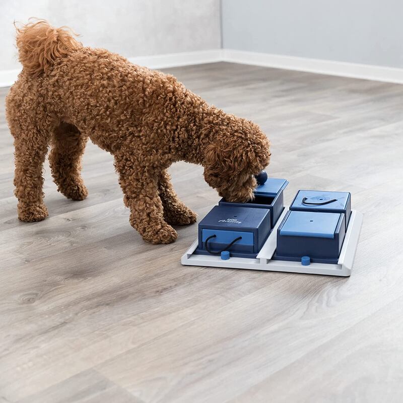Gioco per cani