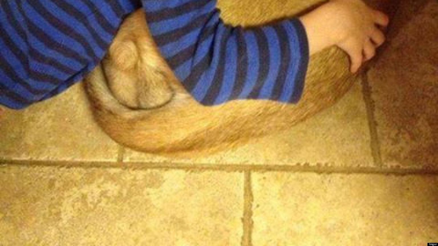 Non negate ai vostri bimbi un abbraccio come questo