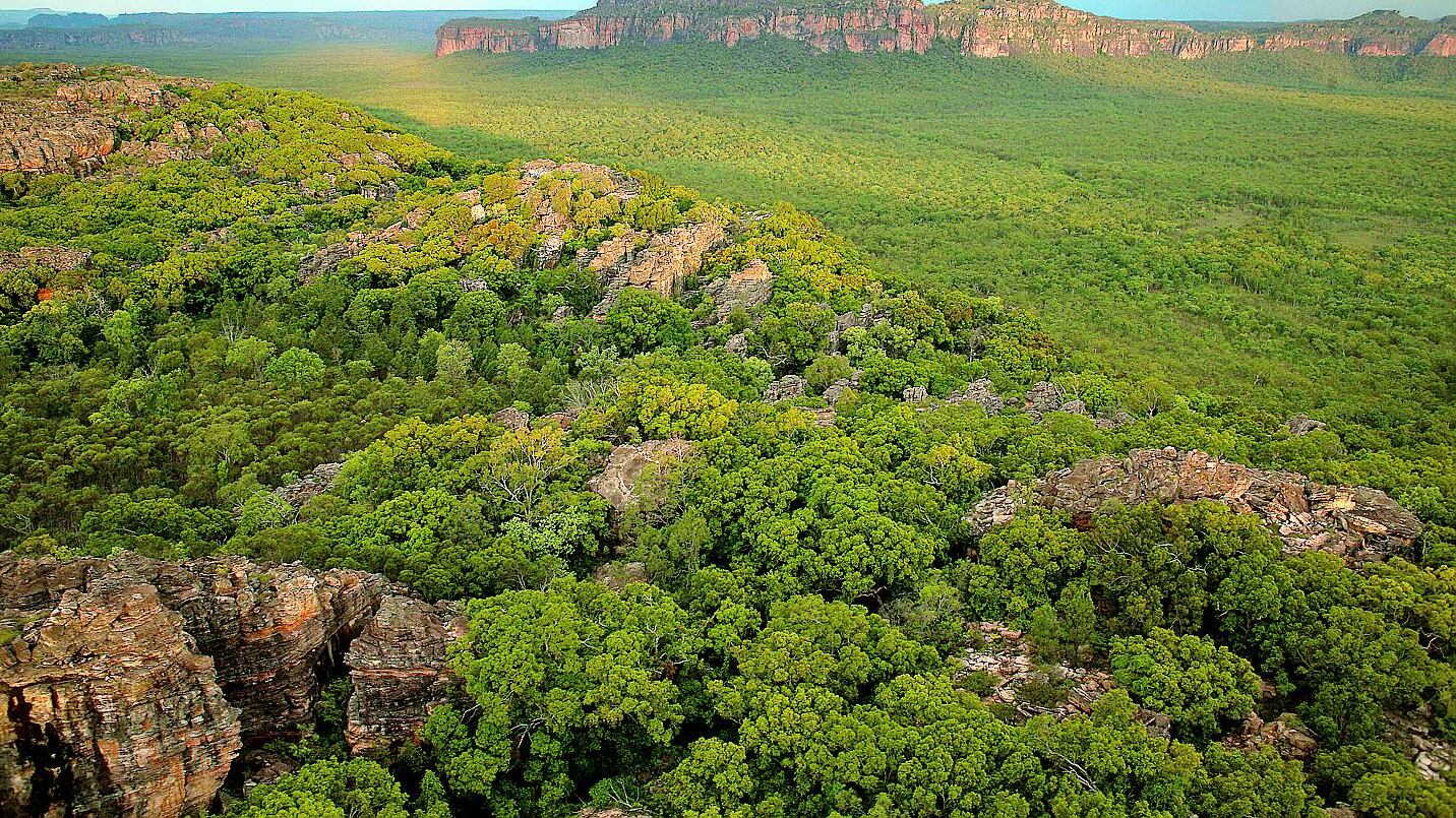 Bush australiano, dove la natura dipinge un museo a cielo aperto