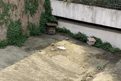 Milano, i capolavori di Leonardo nel degrado 4