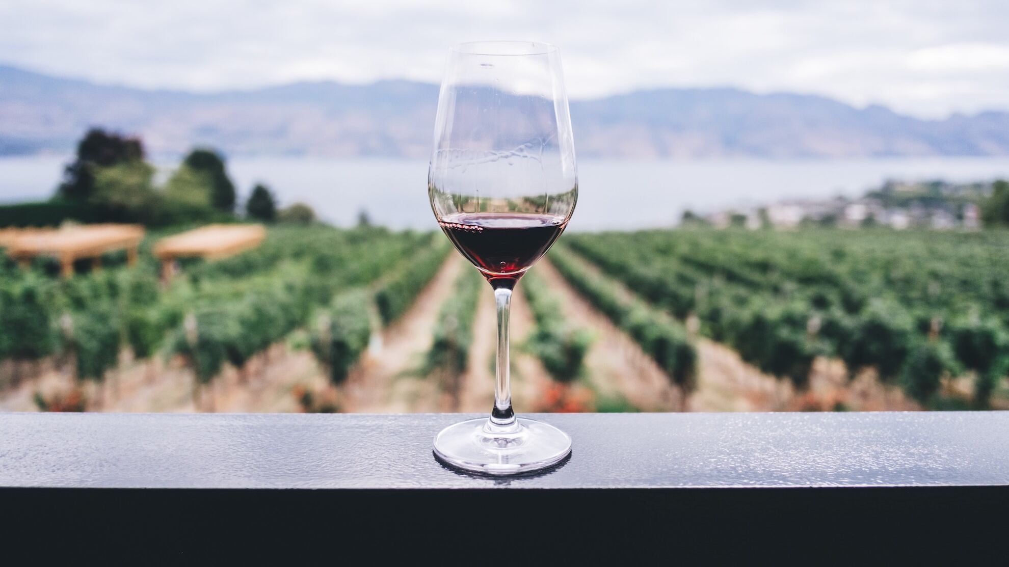 Arriva il Brunello 2019: ecco su chi puntare forte