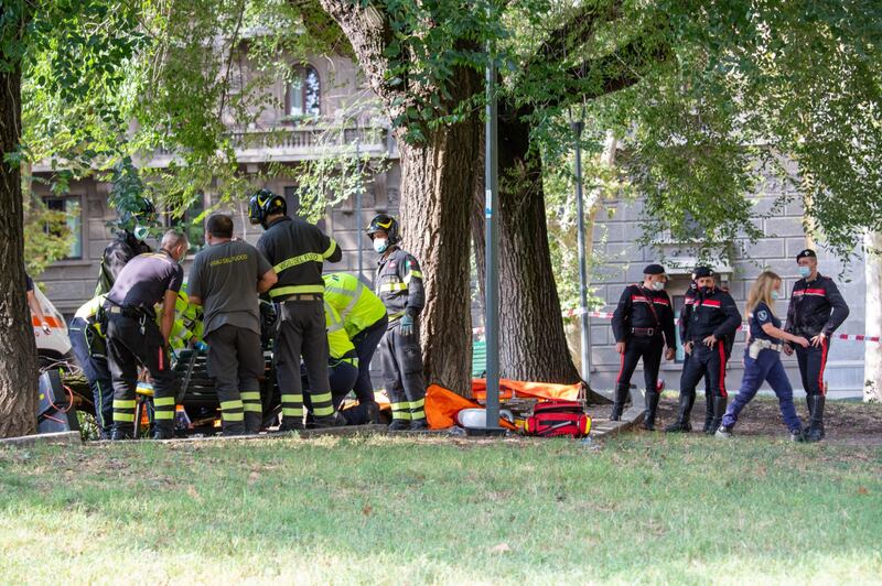 Milano, ramo si spezza e travolge una donna: ricoverata in codice rosso 9