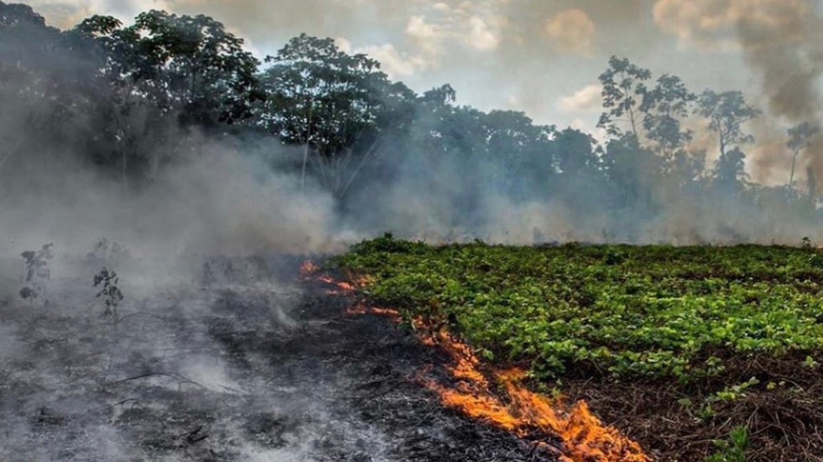 Brasile, arrestati quattro attivisti ong antincendio: appiccavano loro i roghi