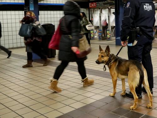 L'attentatore di New York: "America, muori". Trump: "Basta lotteria dei visti"