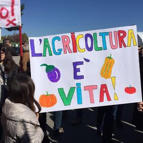 manifestazione 