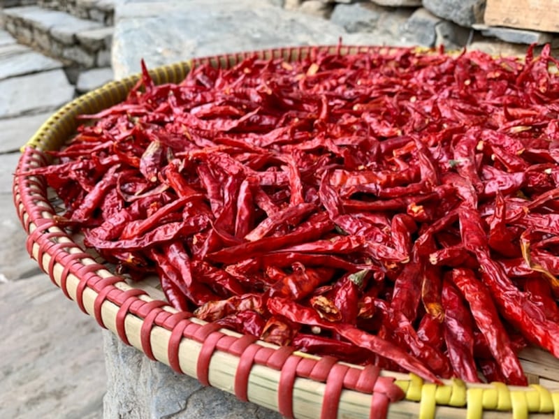 Peperoncino 4