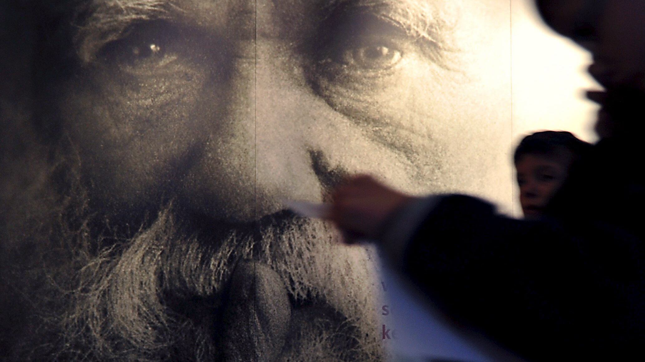 Darwin day: sette luoghi comuni su Darwin e l'evoluzionismo